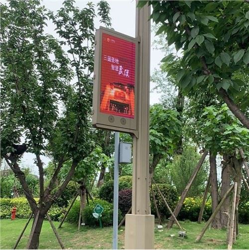 P3.33 Light Pole Display